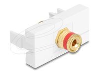 Easy 45 Module binding post to thread nu