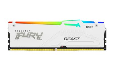 Kingston FURY Beast EXPO/DDR5/16GB/6800MHz/CL34/1x16GB/RGB/White