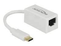 Síťový adaptér - USB 3.1 Gen 1 - Gigabit Ethernet x 1 - bílá