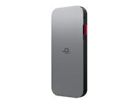 Power banka - 10000 mAh - 30 watt - 3 A - 2 výstupní konektory (USB-C) - thunder black - celý svět - pro 100e Chromebook Gen 3; ThinkBook 14 G2 ITL; ThinkCentre M75t Gen 2; ThinkPad T16 Gen 4