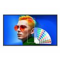 BENQ SL4304, LED Panel 43"