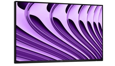 Dell Pro P/P2426HE/bez stojanu/23,8"/IPS/FHD/120Hz/5ms/Šedá/3R