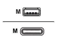 USB kabel - USB (M) do USB-C (M) - 4 m - pro Webex Room Kit Mini