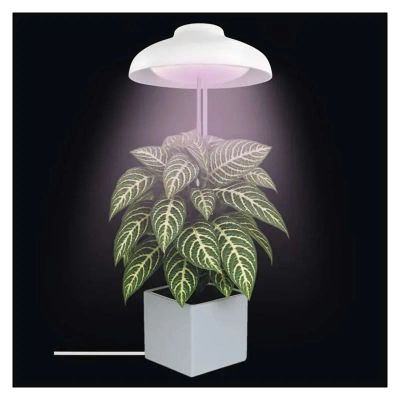 Rostoucí lampa EMOS Z7901 Grow 5W