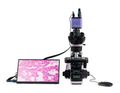 Biologický digitální mikroskop MAGUS Bio D240T LCD