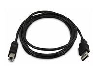 6ft 1.8m USB-A to B Cable TAA - SKUSBAB06-TAA