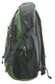 Batoh CATTARA 13840 Runner Green 38l