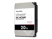 Pevný disk - 20 TB - interní - 3.5" - SAS 12Gb/s - 7200 ot/min. - vyrovnávací paměť: 512 MB