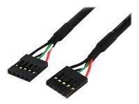 USB cable - 5 pin IDC (F) to 5 pin IDC (F) - USB 2.0 - 2 ft - black - USBINT5PIN24 - Kabel USB - 5pinový IDC (F) do 5pinový IDC (F) - USB 2.0 - 60.7 cm - černá