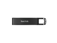 Jednotka USB flash - 256 GB - USB 3.1 Gen 1 / USB-C