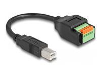 USB 2.0 Cable Type-B male to Terminal Bl