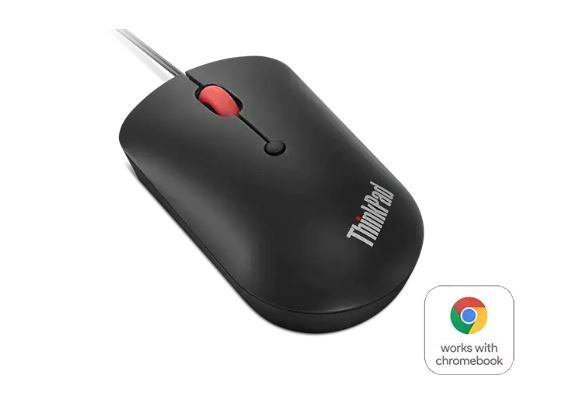 Lenovo ThinkPad/Cestovní/Optická/2 400 DPI/Drátová USB-C/Černá