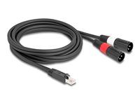 Adapter Cable RJ45 plug to 2 x XLR 3 pin