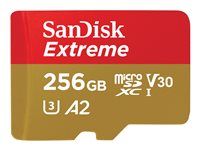 Paměťová karta flash (adaptér microSDXC na SD zahrnuto) - 256 GB - A2 / Video Class V30 / UHS-I U3 / Class10 - microSDXC UHS-I