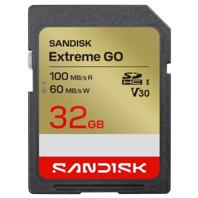 SanDisk Extreme Go SDHC karta, 32 GB, V30, 100Mb/s