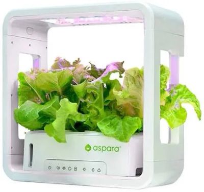 Kvetináč SmartPot aspara by GrowGreen Stylist Lite Smart Grower