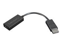 Video adaptér - DisplayPort s piny (male) do HDMI se zdířkami (female) - 22.5 cm - černá - podporuje 4K