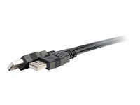USB A to USB A Cable - USB 2.0 - Black - M/M - Kabel USB - USB (M) do USB (M) - USB 2.0 - 2 m - černá