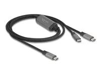 USB-C Y-Cable 1 x male to 2 x male PD 3