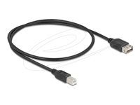 USB 2.0 Cable USB Type-B male to EASY US