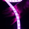 DELTACO SH-LS10M, SMART LED Pásek, 2x 5m, RGB
