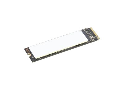 Lenovo ThinkPad/512GB/SSD/M.2 NVMe/Černá/1R