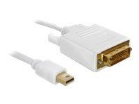 Cable mini DisplayPort male to DVI 24+1