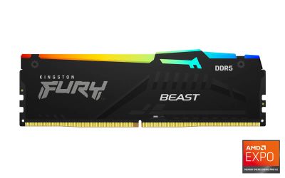 Kingston FURY Beast EXPO/DDR5/16GB/5600MHz/CL36/1x16GB/RGB/Black
