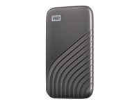 SSD - šifrovaný - 500 GB - externí (přenosný) - USB 3.2 Gen 2 (USB-C konektor) - AES 256 bitů - šedá space gray