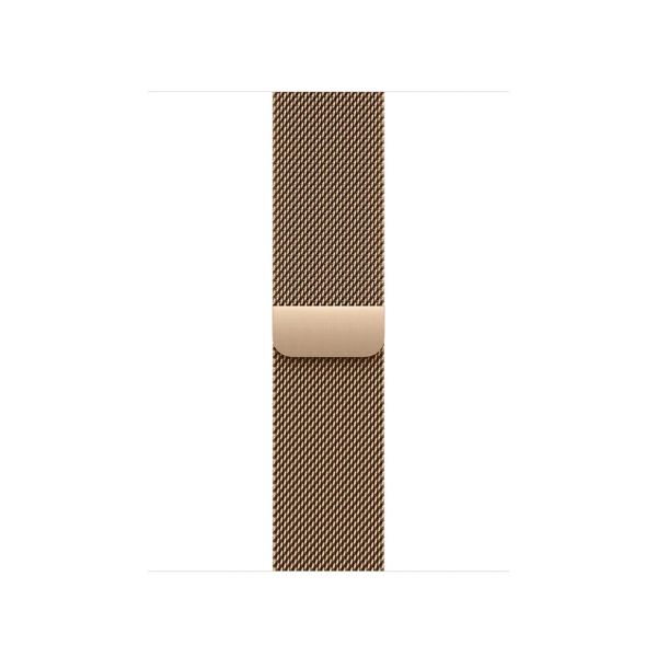 Watch Acc/40/Gold Milanese Loop