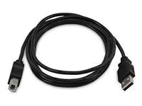 10ft 3m USB-A to B Cable TAA - SKUSBAB10-TAA