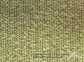 Mikroskop Bresser Science MTL 201 50-800x