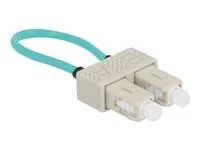 Optical Fiber loopback Adapter SC/OM3