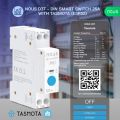 NOUS D3T, Tasmota DIN SMART Switch, přepínač