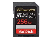 Paměťová karta flash - 256 GB - Video Class V60 / UHS-II U3 / Class10 - SDXC UHS-II