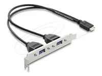 USB Type-E Key B male to 2 x USB 5 Gbps