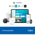 TP-LINK Tapo S110E Smart Switch, Přepínač