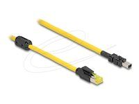 Mini I/O 8 pin D-shape type 2 plug to RJ