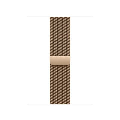 Watch Acc/42/Gold Milanese Loop