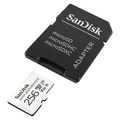 SanDisk Micro SDXC High Endurance C10 U3 V30 256GB