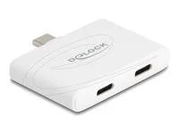 USB Type-C Adapter to USB-C Data 10 Gb