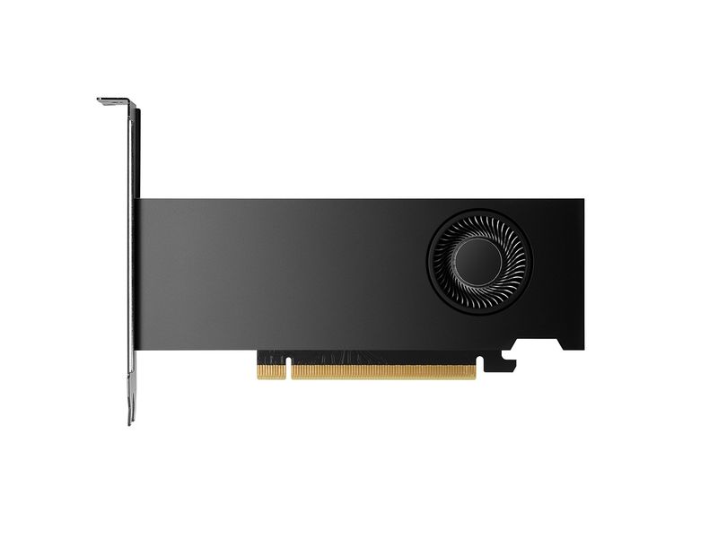 HP gfx nvidia rtx pro 2000BLACKWELL16GB4MDP