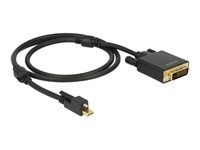 Nástroj pro převod videa - Parade PS171 - DisplayPort - DVI - černá