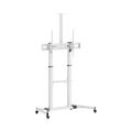 SBOX FS-3610-W, Podlahový stojan na TV, 60" - 100"