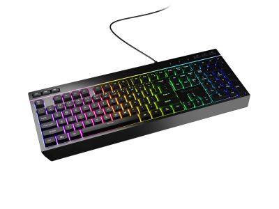 Herní klávesnice Genesis RHOD 530/RGB/Drátové USB-A/US/Černá