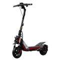 Ninebot by Segway KickScooter ZT3 Pro E