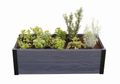 Vyvýšený záhon KETER Maple Trough Graphite