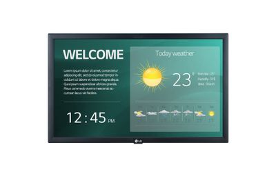 22" LG LED 22SM3G  - FHD,IPS,250cd,16/7