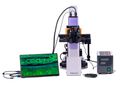 Fluorescenční inverzní digitální mikroskop MAGUS Lum VD500 LCD