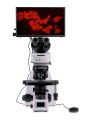Fluorescenční digitální mikroskop MAGUS Lum D460L LCD